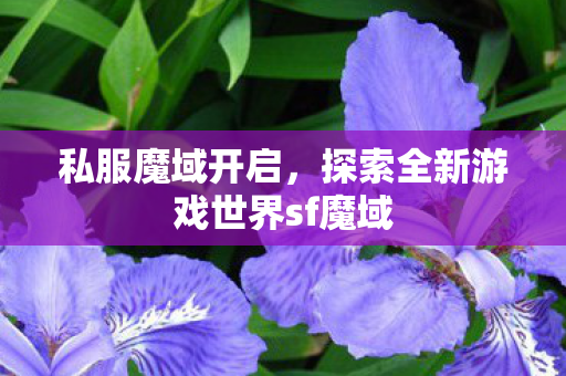 私服魔域开启，探索全新游戏世界sf魔域