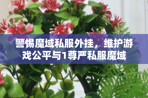警惕魔域私服外挂，维护游戏公平与1尊严私服魔域