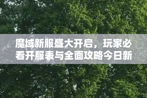 魔域新服盛大开启，玩家必看开服表与全面攻略今日新开魔域网站