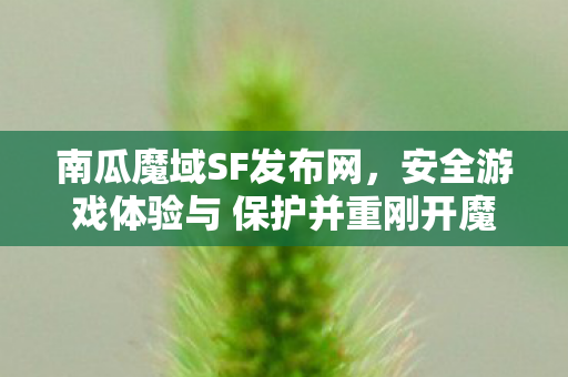 南瓜魔域SF发布网，安全游戏体验与 保护并重刚开魔域私服