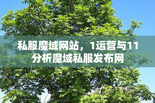 私服魔域网站，1运营与11分析魔域私服发布网