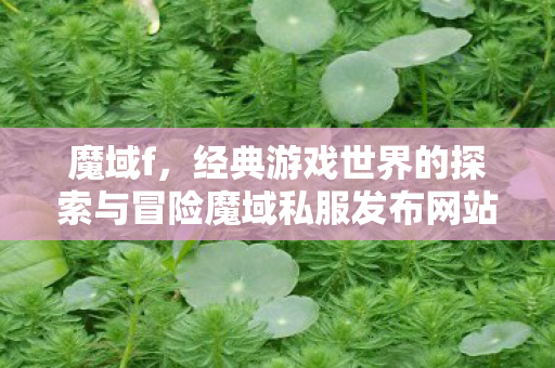 魔域f，经典游戏世界的探索与冒险魔域私服发布网站