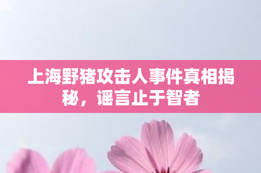 上海野猪攻击人事件真相揭秘，谣言止于智者