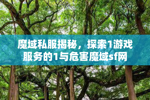 魔域私服揭秘，探索1游戏服务的1与危害魔域sf网