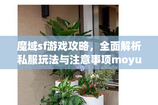 魔域sf游戏攻略，全面解析私服玩法与注意事项moyusf