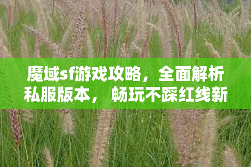 魔域sf游戏攻略，全面解析私服版本， 畅玩不踩红线新开魔域sf发布网