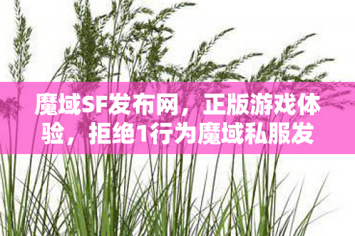 魔域SF发布网，正版游戏体验，拒绝1行为魔域私服发布网