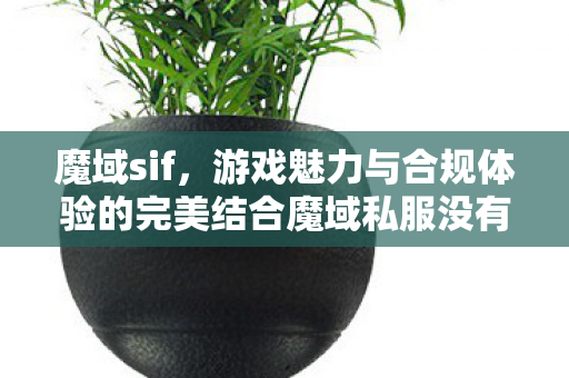 魔域sif，游戏魅力与合规体验的完美结合魔域私服没有了吗