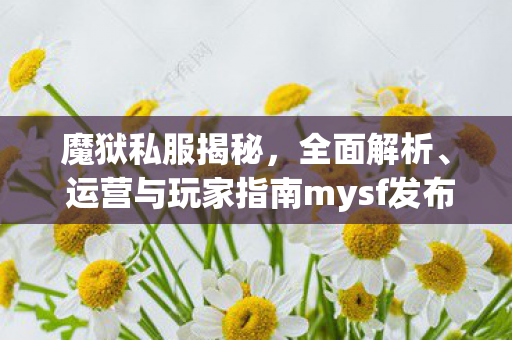 魔狱私服揭秘，全面解析、 运营与玩家指南mysf发布网
