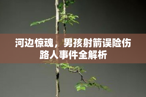 河边惊魂，男孩射箭误险伤路人事件全解析