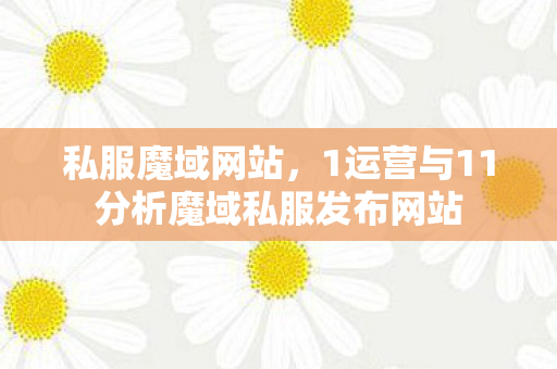 私服魔域网站，1运营与11分析魔域私服发布网站