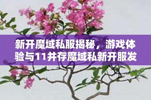 新开魔域私服揭秘，游戏体验与11并存魔域私新开服发布网魔域私服