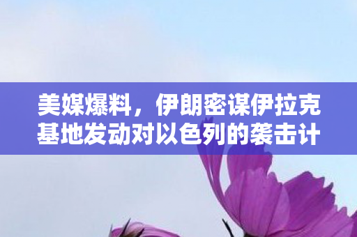 美媒爆料，伊朗密谋伊拉克基地发动对以色列的袭击计划