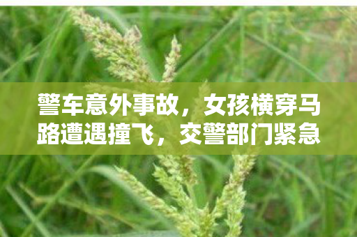 警车意外事故，女孩横穿马路遭遇撞飞，交警部门紧急回应