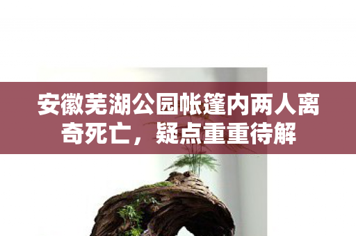 安徽芜湖公园帐篷内两人离奇死亡，疑点重重待解