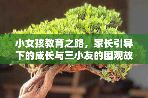 小女孩教育之路，家长引导下的成长与三小友的围观故事