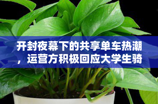 开封夜幕下的共享单车热潮，运营方积极回应大学生骑行需求