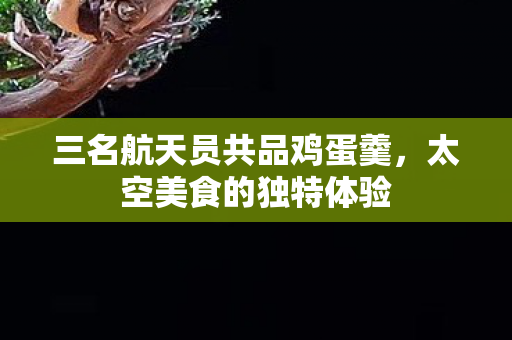 三名航天员共品鸡蛋羹，太空美食的独特体验