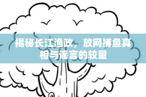 揭秘长江渔政，放网捕鱼真相与谣言的较量