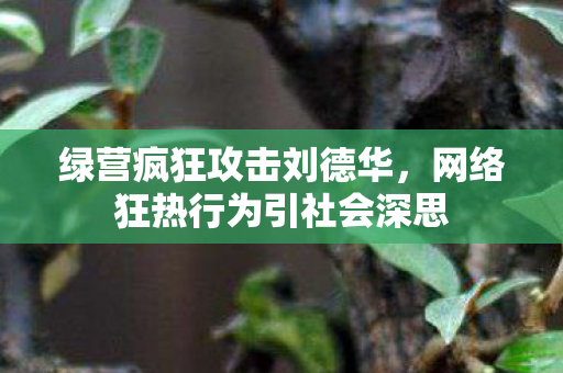 绿营疯狂攻击刘德华，网络狂热行为引社会深思