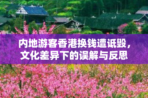 内地游客香港换钱遭诋毁，文化差异下的误解与反思