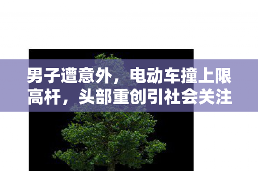 男子遭意外，电动车撞上限高杆，头部重创引社会关注