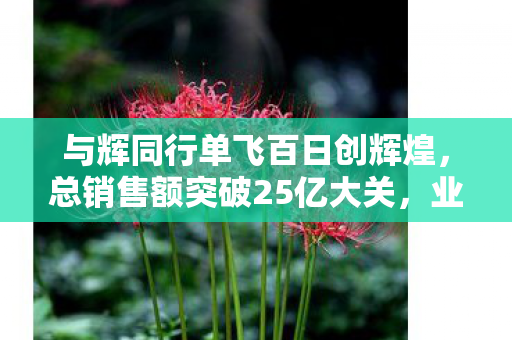 与辉同行单飞百日创辉煌，总销售额突破25亿大关，业绩斐然