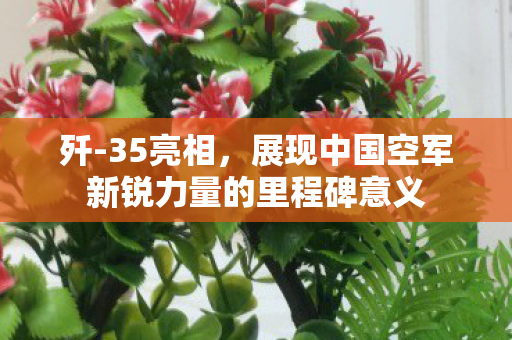 歼-35亮相，展现中国空军新锐力量的里程碑意义