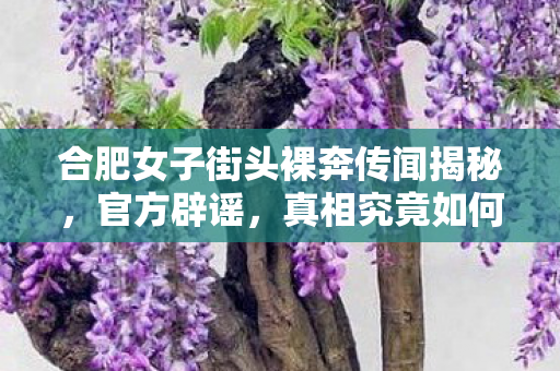 合肥女子街头裸奔传闻揭秘，官方辟谣，真相究竟如何？