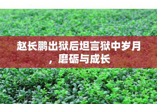 赵长鹏出狱后坦言狱中岁月，磨砺与成长
