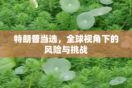 特朗普当选，全球视角下的风险与挑战