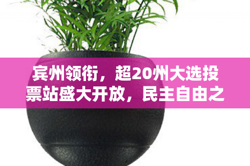 宾州领衔，超20州大选投票站盛大开放，民主自由之花在美国各地绽放