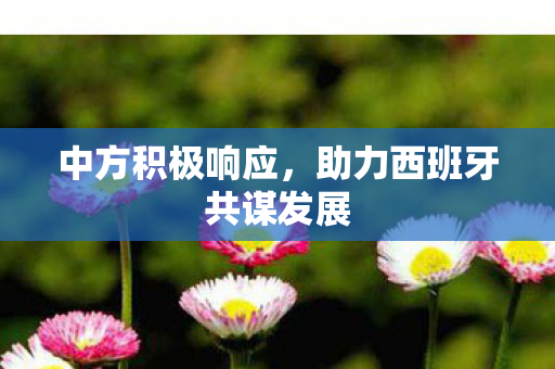 中方积极响应，助力西班牙共谋发展