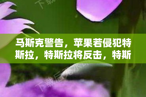 马斯克警告，苹果若侵犯特斯拉，特斯拉将反击，特斯拉或将推出新手机以应对