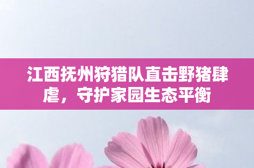 江西抚州狩猎队直击野猪肆虐，守护家园生态平衡