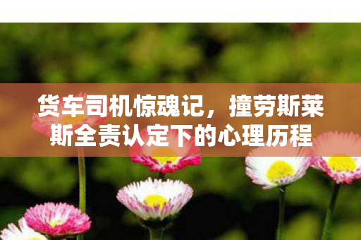 货车司机惊魂记，撞劳斯莱斯全责认定下的心理历程