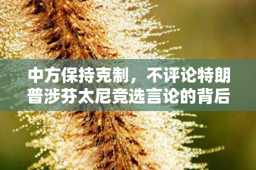 中方保持克制，不评论特朗普涉芬太尼竞选言论的背后考量