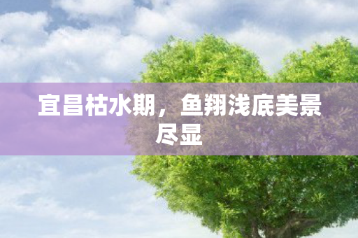宜昌枯水期，鱼翔浅底美景尽显
