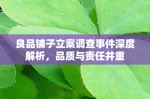 良品铺子立案调查事件深度解析，品质与责任并重