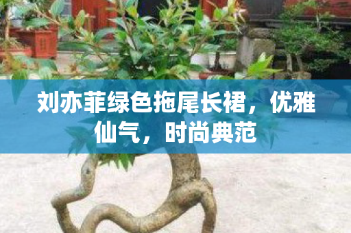 刘亦菲绿色拖尾长裙，优雅仙气，时尚典范