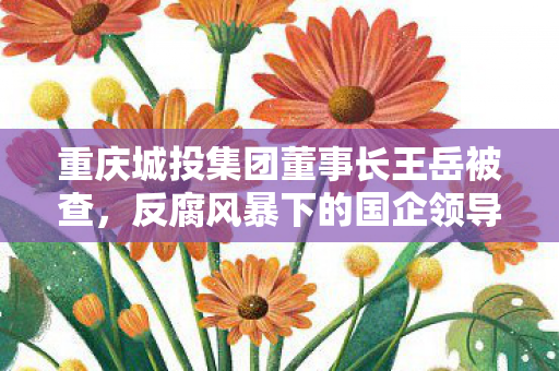 重庆城投集团董事长王岳被查，反腐风暴下的国企领导层审查纪实
