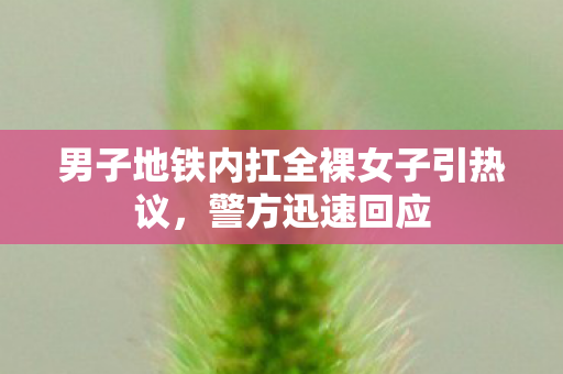 男子地铁内扛全裸女子引热议，警方迅速回应