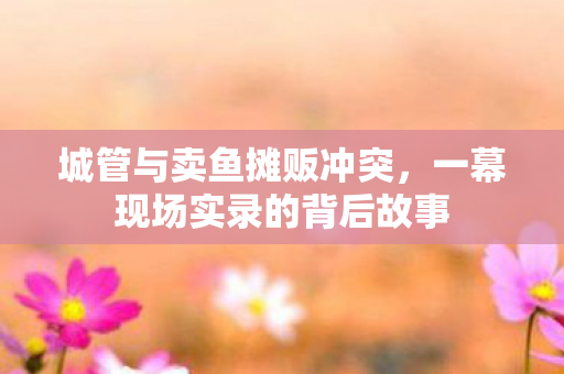 城管与卖鱼摊贩冲突，一幕现场实录的背后故事
