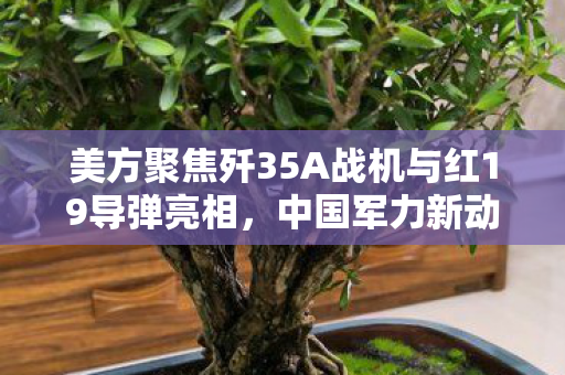 美方聚焦歼35A战机与红19导弹亮相，中国军力新动向揭秘