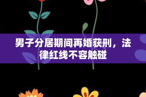 男子分居期间再婚获刑，法律红线不容触碰
