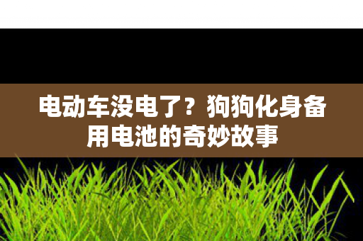 电动车没电了？狗狗化身备用电池的奇妙故事