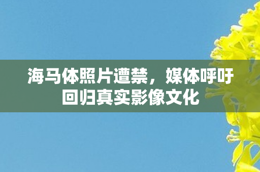 海马体照片遭禁，媒体呼吁回归真实影像文化