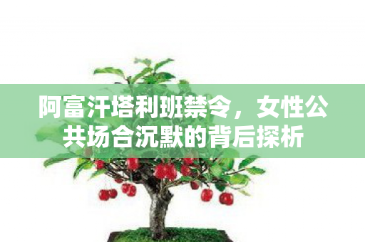 阿富汗塔利班禁令，女性公共场合沉默的背后探析