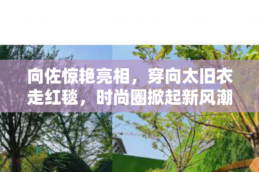 向佐惊艳亮相，穿向太旧衣走红毯，时尚圈掀起新风潮