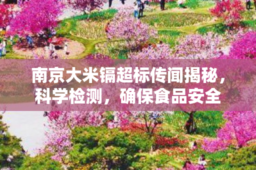 南京大米镉超标传闻揭秘，科学检测，确保食品安全